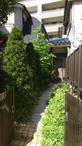 大田区の住宅の庭木の剪定・お庭のお手入れbefore2
